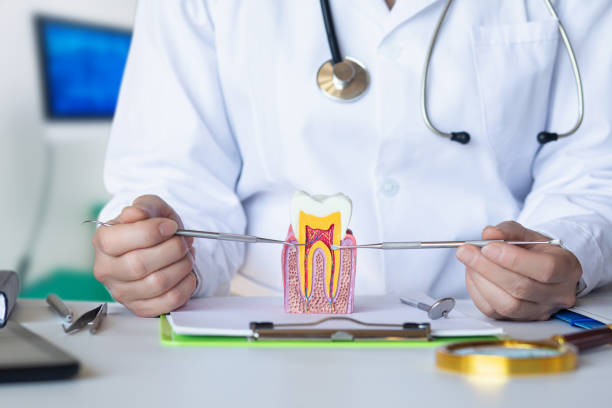 Best Broken or Chipped Tooth Repair in Long Beach, WA